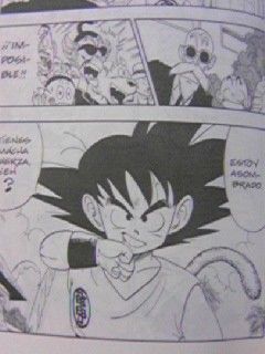 スペイン語版 ドラゴンボール 更紗のタペストリー L