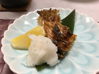 nago_8