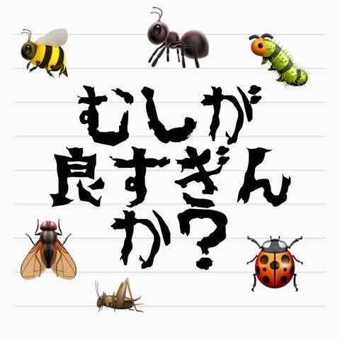 IMG_6132