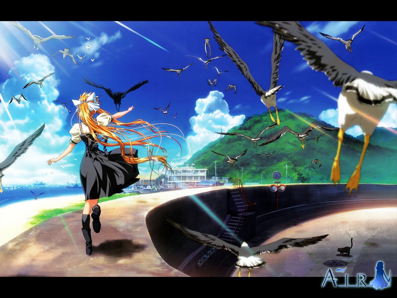 鳥の詩 歌詞 Sarekoube999のブログ