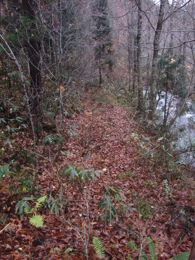 山さ行がねが 12 オフ会 森吉森林鉄道探索 2 あきた鉄廃逍遥記 501