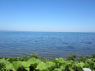 IMG_0407