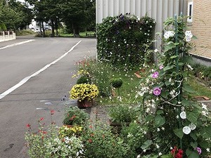 IMG_0719