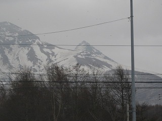 IMG_1649