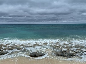 s-IMG_3597