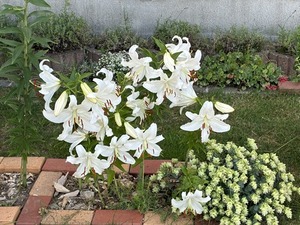 s-IMG_2746