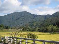 IMG_2204