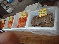DSCF0017