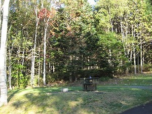 IMG_0743