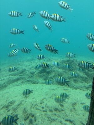 s-IMG_3521