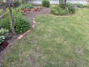 s-IMG_2646