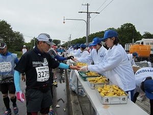 IMG_1822