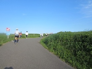 IMG_0467