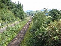 IMG_2191