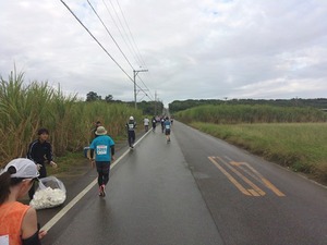 s-IMG_1174