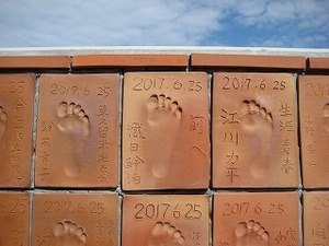 IMG_0457