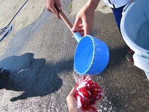 IMG_1089