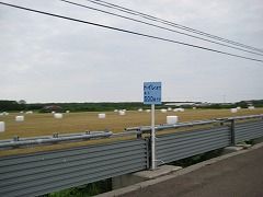 IMG_2430