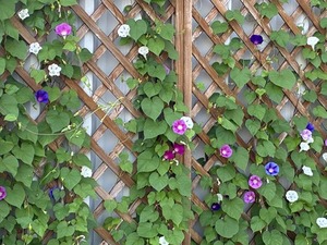 s-IMG_2745