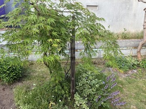 s-IMG_2648