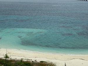 s-IMG_3564