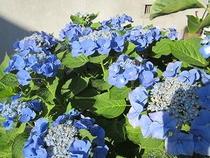 IMG_1357