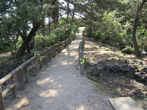 IMG_0928