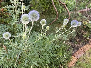s-IMG_2759