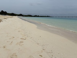 s-IMG_3626