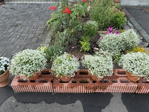 s-IMG_2748