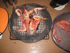 IMG_0773