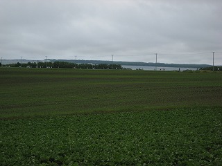 IMG_0534