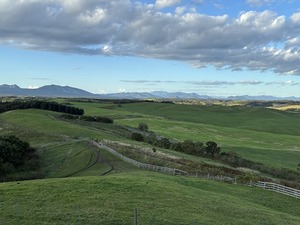 s-IMG_2790