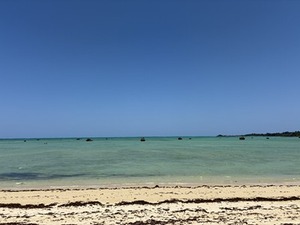 s-IMG_3708