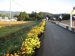 IMG_2152
