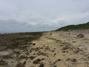 IMG_1358