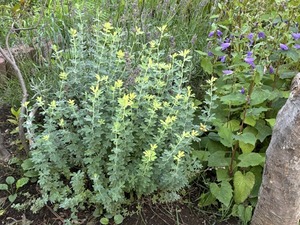 s-IMG_2758
