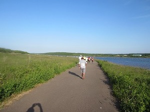 IMG_0464