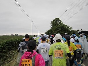 IMG_1773