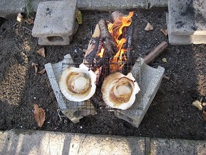 IMG_0739