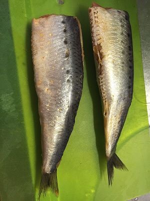 福岡の最上級お土産 稚加栄の いわし明太子 の作り方はこれで決まりだ サル太郎いきまーす 福岡の最上級お土産 稚加栄の いわし明太子 の作り方はこれで決まりだ サル太郎いきまーす