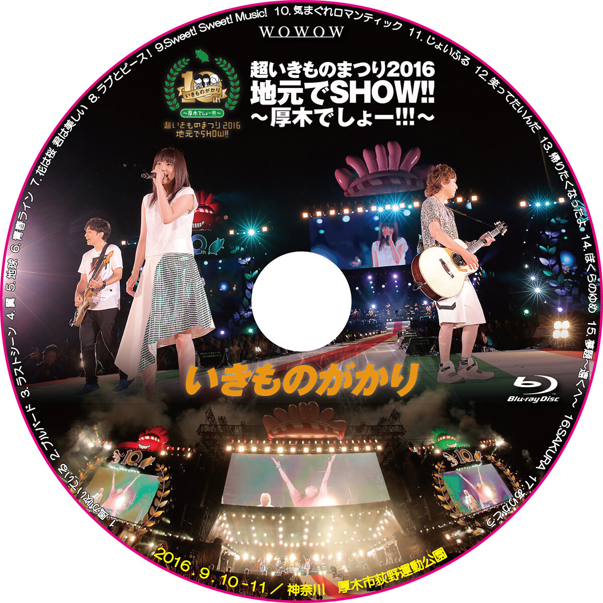 超いきものまつり2016 地元でSHOW!! ~厚木でしょー!!!~(初回生産限定盤) [DVD] dwos6rj