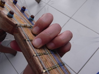 RIMG2507