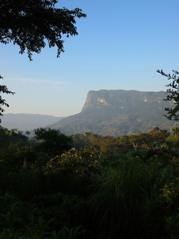P1218619