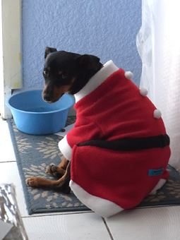 409430_204409142981333_100002367476538_451356_1997663930_n