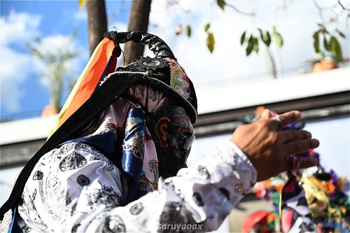 s-DSC_3843