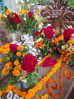 P1016385