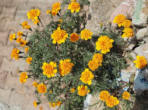P9212309
