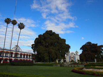 P1170444