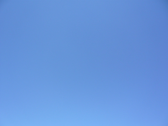 46180428.jpg
